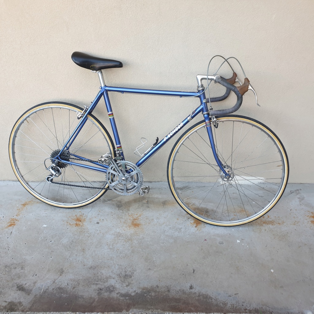 J'ai récupéré un vélo P. Schoor, cadre BaCo, équipement Campagnolo, Citelli, T.A. 20220712