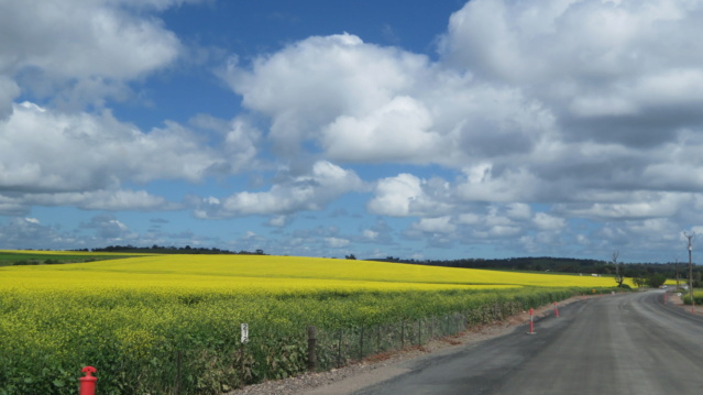 carnet de voyage en Australie 02-img22