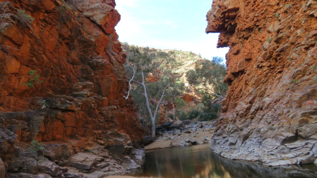 carnet de voyage en Australie 08-img13