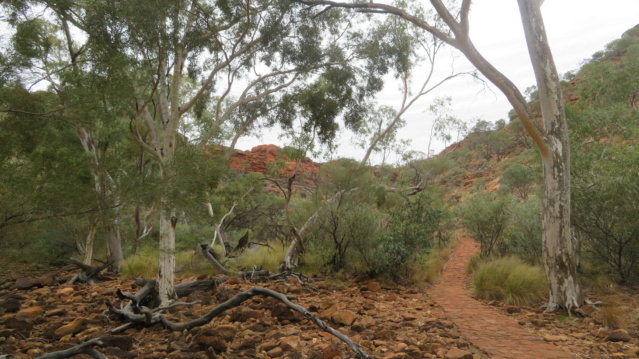 carnet de voyage en Australie 09-img12