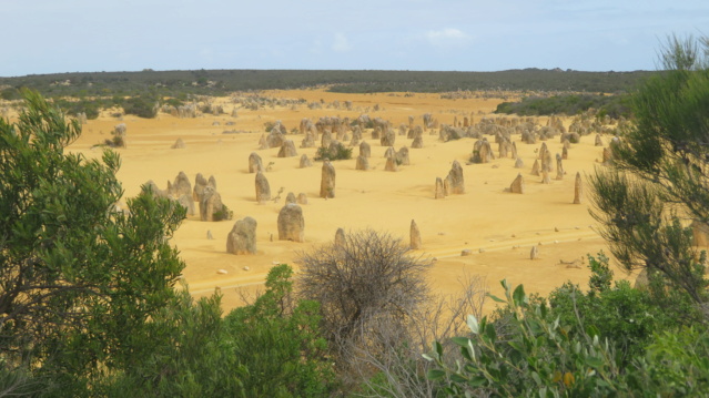 carnet de voyage en Australie Img_3311