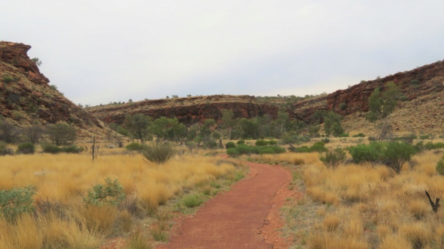 carnet de voyage en Australie Img_3812