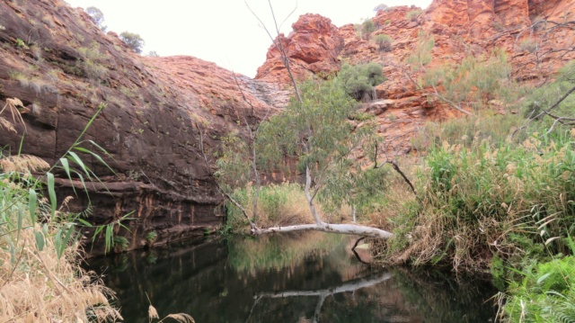 carnet de voyage en Australie Img_4310