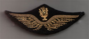 Les casquettes de l'Armée de l'Air 1934/2022 - partie 2 : 1934/1939 Ailes-13