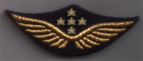 Les casquettes de l'Armée de l'Air 1934 / 2022 - partie 7 : 1980/90 Ailes-27