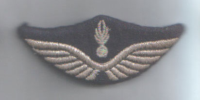 Les casquettes de l'Armée de l'Air 1934 / 2022 - partie 7 : 1980/90 Ailes110