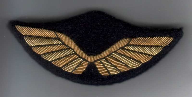Les casquettes de l'Armée de l'Air 1934/2022 - partie 4 : 1946/1954 Ailes_46