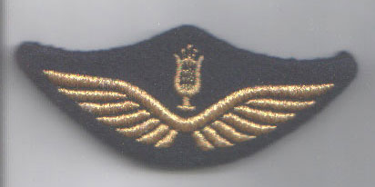 Les casquettes de l'Armée de l'Air 1934/2022 - partie 6 : 1970 /1980 Ailes_56