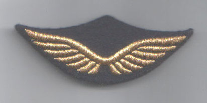 Les casquettes de l'Armée de l'Air 1934 / 2022 - partie 7 : 1980/90 Ailes_91