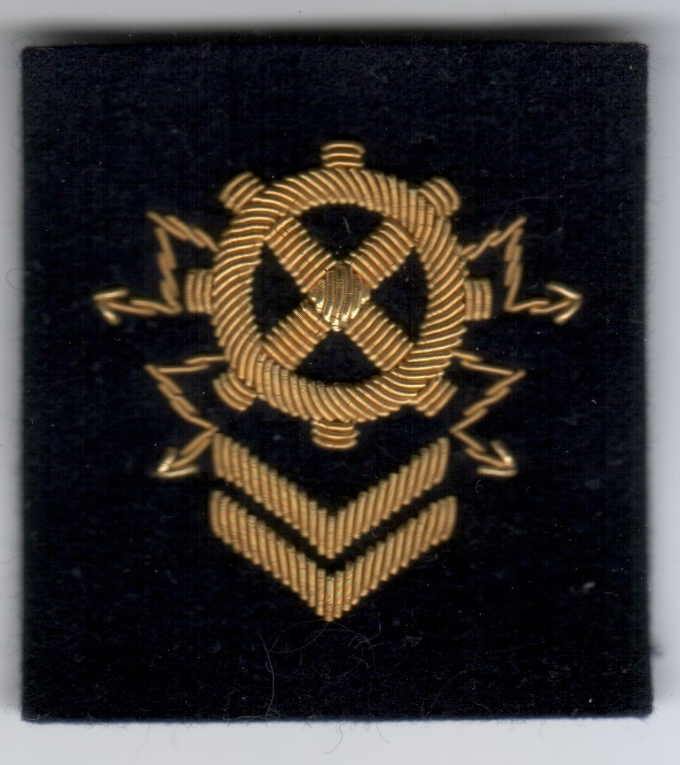 Uniforme lieutenant armée de l'air, aviation. Brevet73