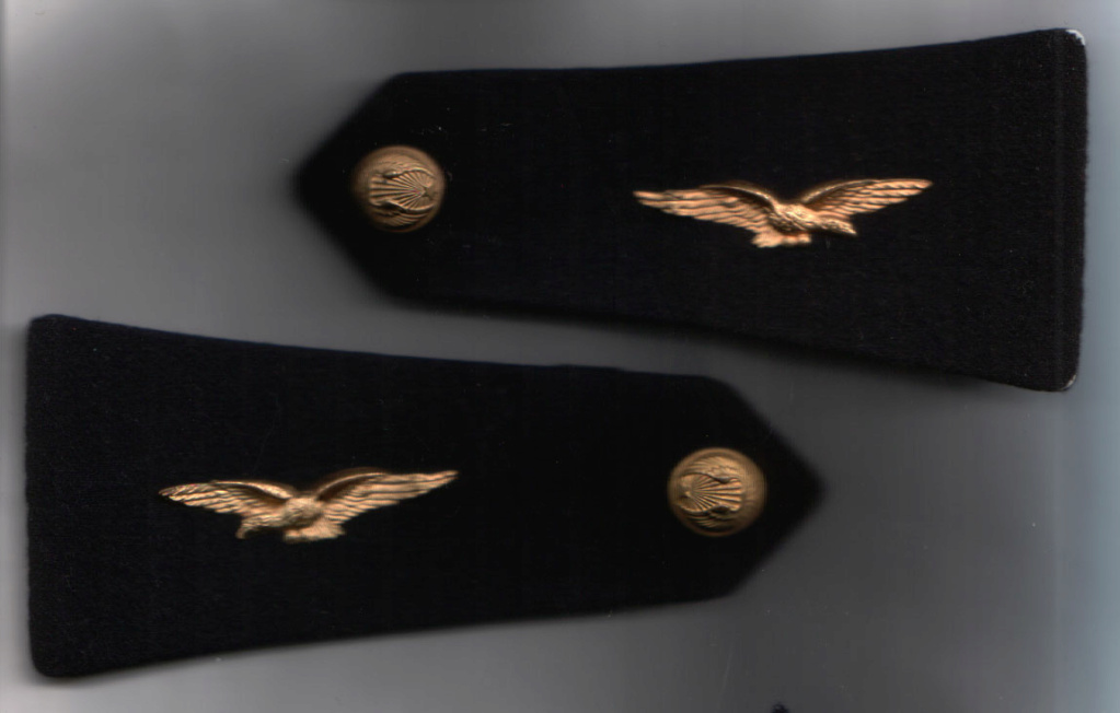 Recherche sur les épaulettes de l'armée de l'air Epaul155
