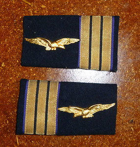 Nouvel insigne de coiffure - Armée de l'air et de l'espace Fourre18