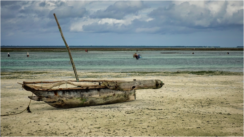Juin 23 à Zanzibar, par Gérard PONTIER _dsc0314