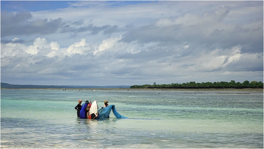 Juin 23 à Zanzibar, par Gérard PONTIER _dsc0317