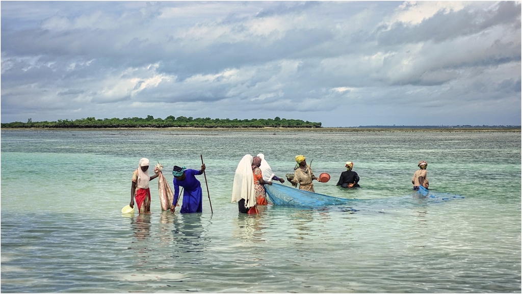 Juin 23 à Zanzibar, par Gérard PONTIER _dsc0318
