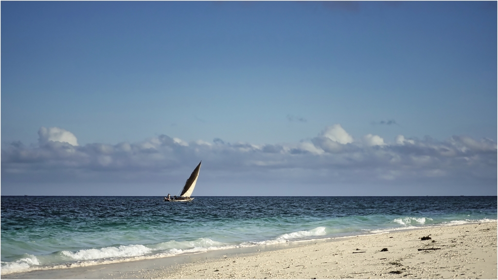 Juin 23 à Zanzibar, par Gérard PONTIER _dsc0411