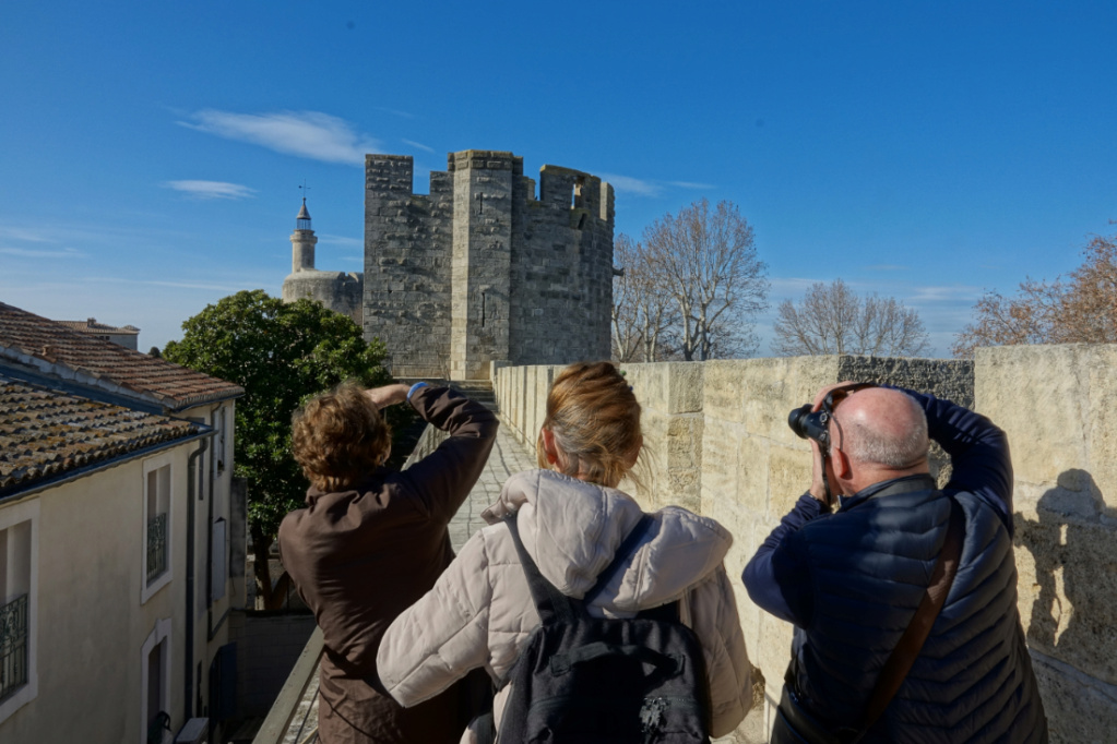 Aigues-Mortes, Grau du Roi, Pont de Gau, Montmajour - 7 et 8 Février 2024 Dsc-rx25