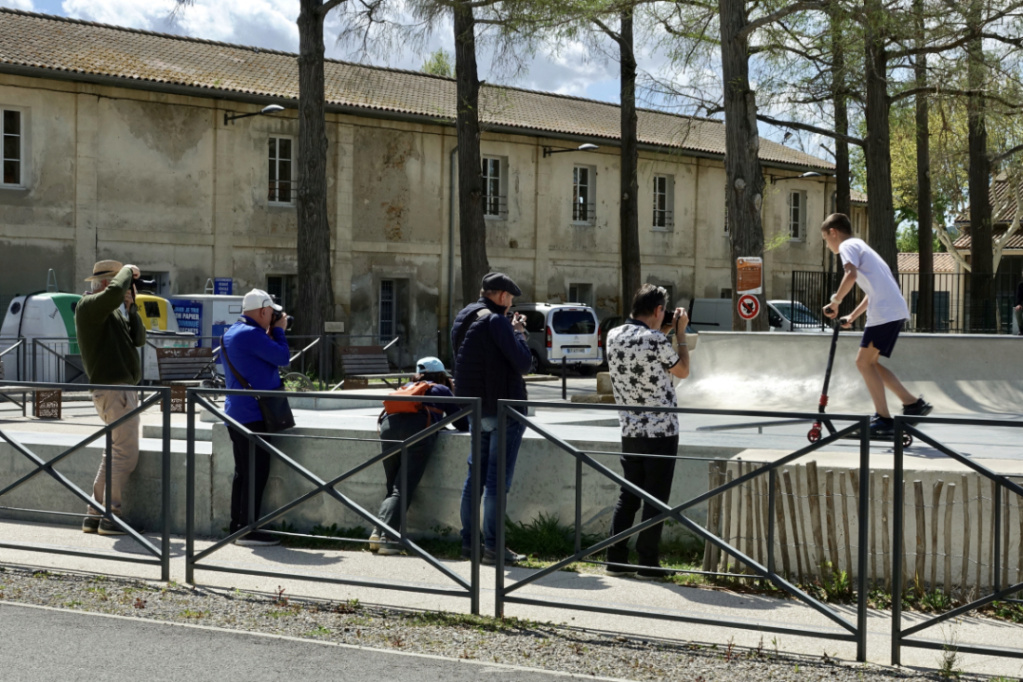 Saint-Chamas et la petite Camargue - 3 Avril 2024 Dsc00029