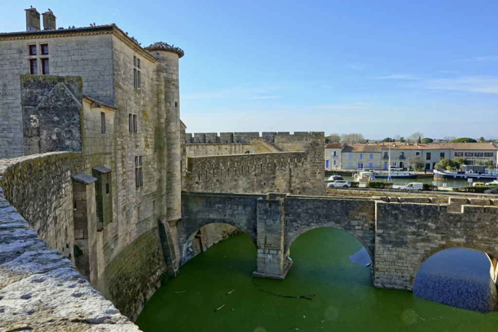 Aigues-Mortes, Grau du Roi, Pont de Gau, Montmajour - 7 et 8 Février 2024 Dsc05232