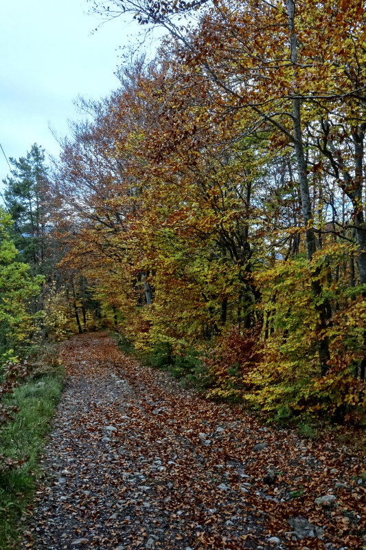 Octobre 22 dans le Champsaur - Robert Desnoyer Dsc05622