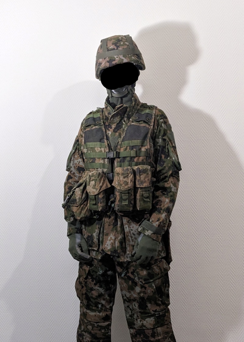 My Luxembourg Waldtarndruck camo collection Pxl_2011