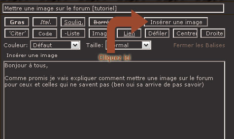 Mettre une image sur le forum [tutoriel] Insere10