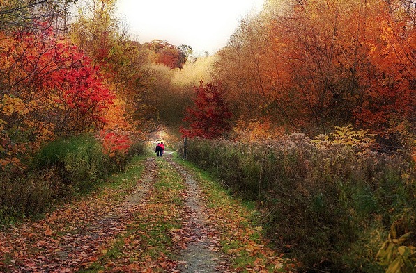 L'automne en Z'images Captur41