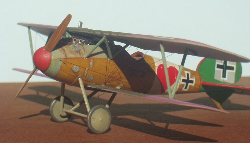 Albatros D V - Eduard - au 72ème Alb_0013
