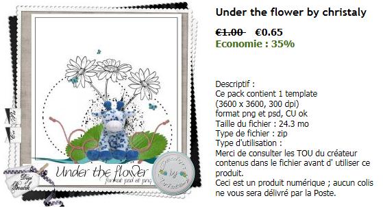 Newsletter du lundi 9 mai 2011 H11