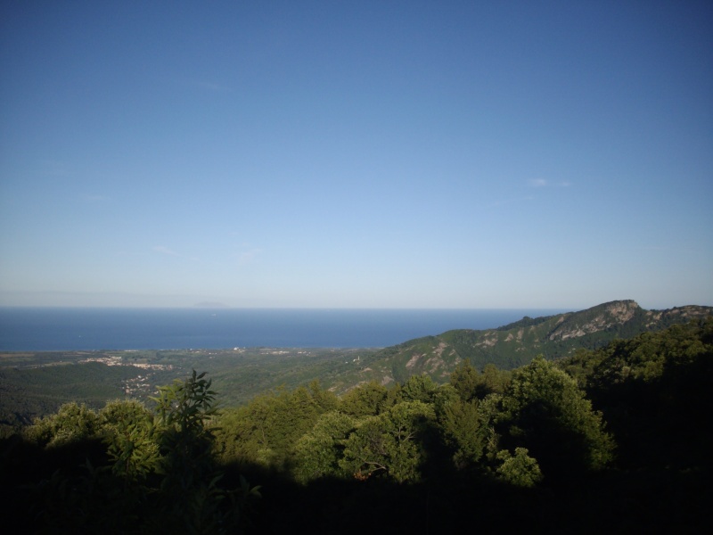 Photos de mes vacances d't 2010 en Corse - partie 1 Imgp5115