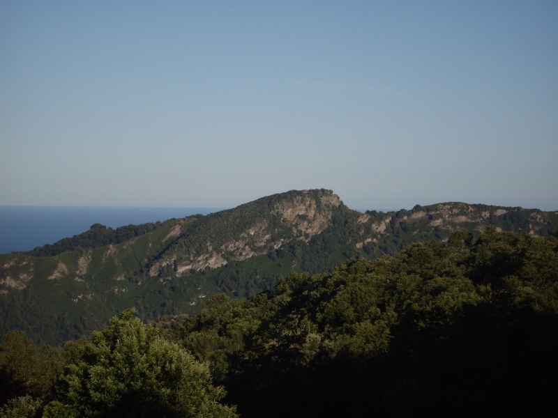 Photos de mes vacances d't 2010 en Corse - partie 1 Imgp5116