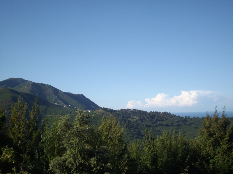 Photos de mes vacances d't 2010 en Corse - partie 1 Imgp5421