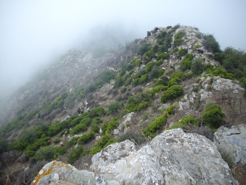 Photos de mes vacances d't 2010 en Corse - partie 2 Imgp5518