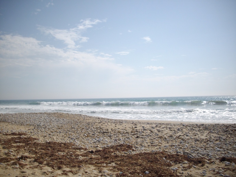 A la plage de Gvres le 4 septembre Imgp5811