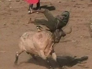 colombie: Un taureau fait un massacre.. Colon10