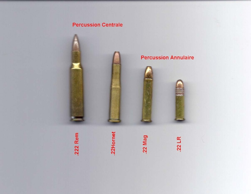 22 hornet vs 22 magnum. 