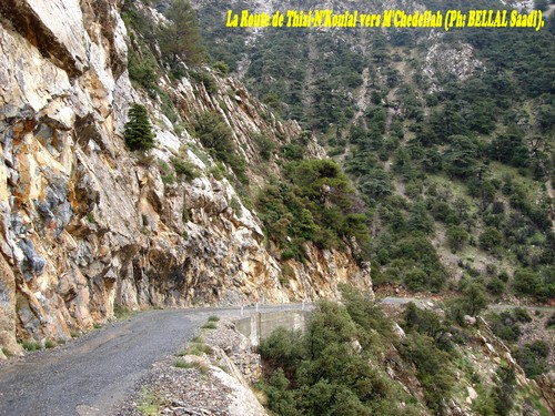 La Route de Thizi-N'Koulal vers M'Chedellah La_rou10