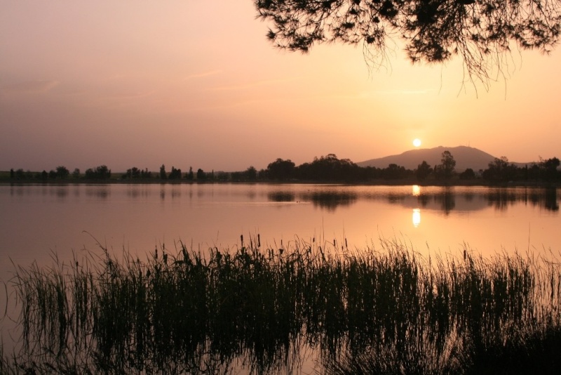 Lac de Sidi Mohamed Ben Ali, Sidi BELABBES. Lac_de10
