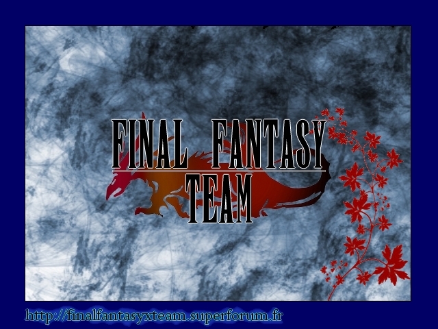 Bannire FFTeam Fflogo18