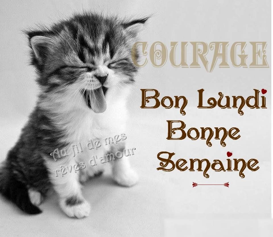 Ici on se dit bonjour  - Page 31 34fadf10