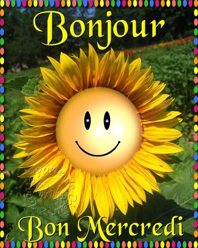 Bonjour - Page 33 Tzolz191