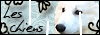 Les chiens Logo11
