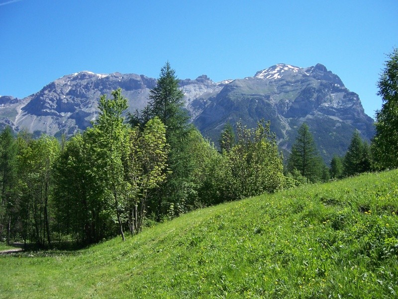 Concour Paysages Aout/Septembre 2007 Jack_f10