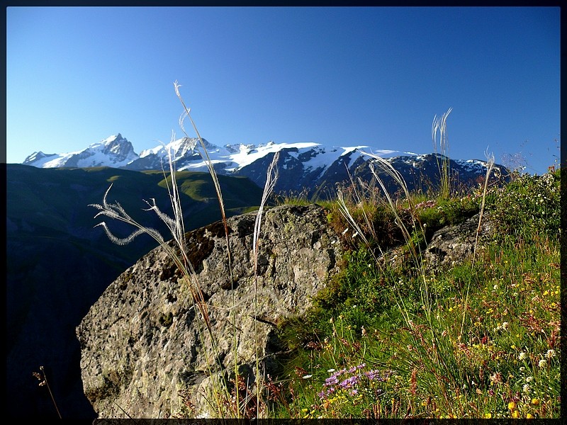 Lac des Quirlies (Oisans) P1170913