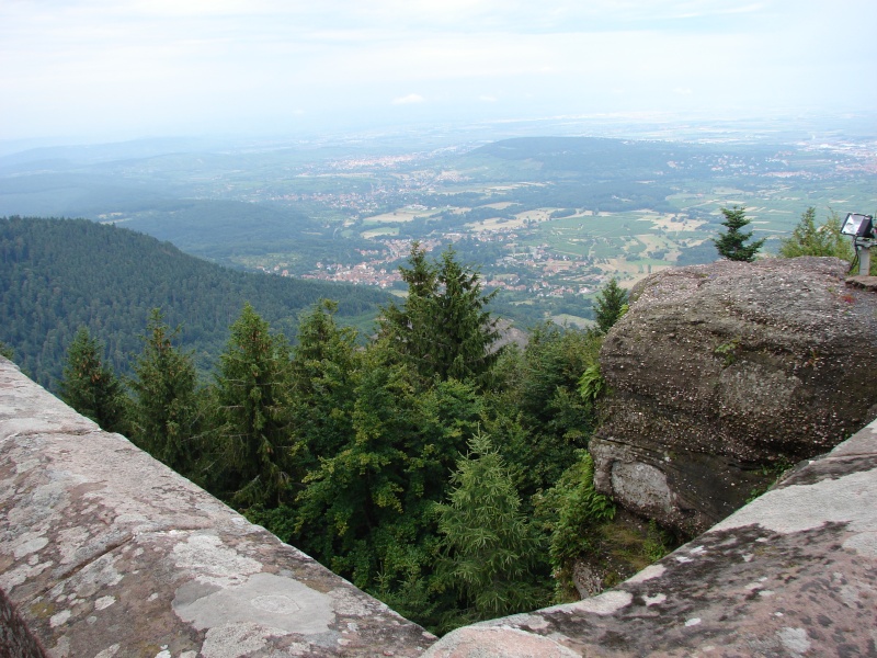 Le mont St Odile Dsc01840