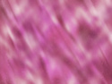 Texture rose/violette Insomn10