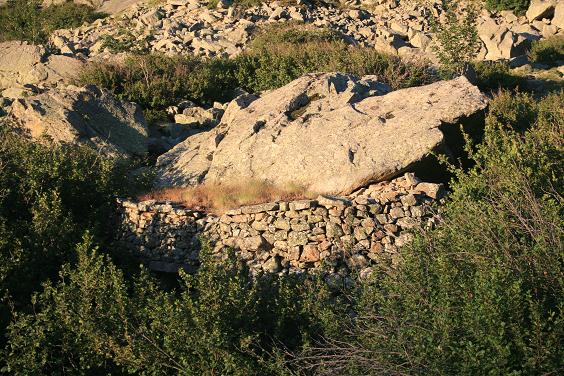 Stazzi Niulinchi:Scruchjella,Binadelli,U ceppu  Vaccaghja.. 1310