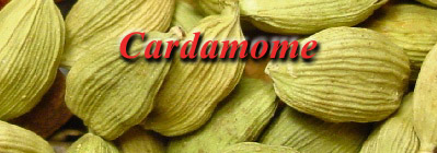 La cardamome Cardam10