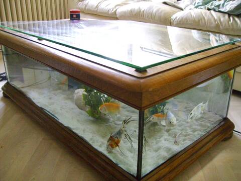 ma table aquarium 250l ...
