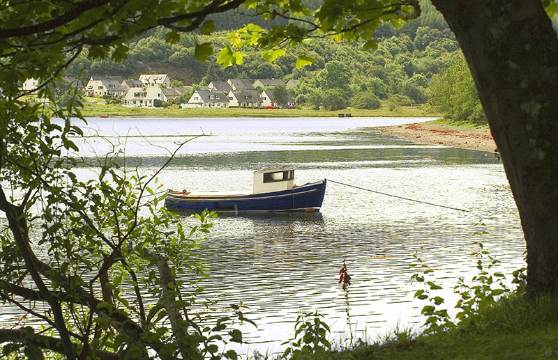 through the trees Boat_a10